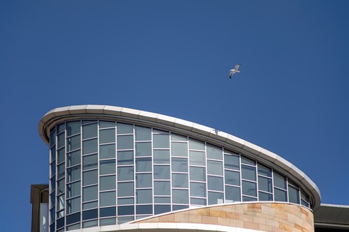 A gull flying over a curved glass-fronted building against a deep blue sky