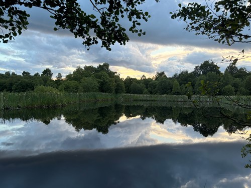 Trees and cloudy sky mirrored in the still water of a loch