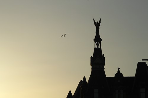 A rooftop statue and a gull silhouetted against a golden sky