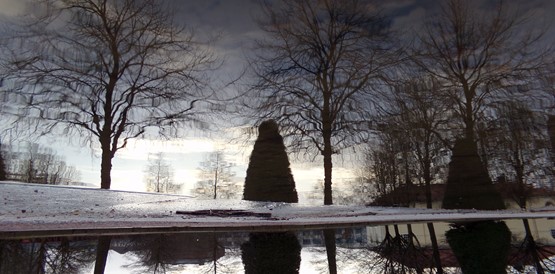 Bare trees reflected in still water beside a snow-dusted bank